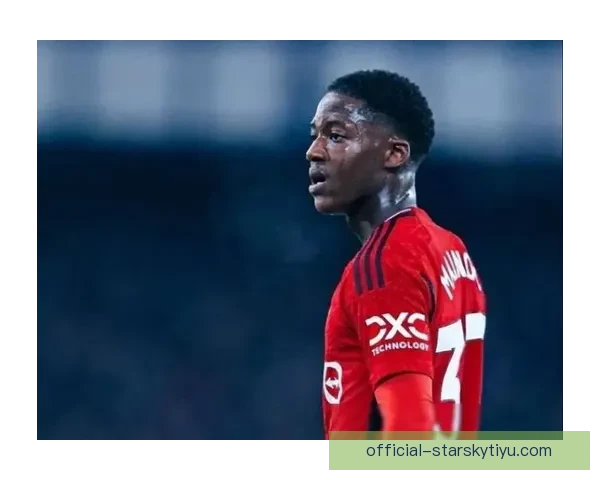 梅努沟通卡里克 冬窗留曼联定局