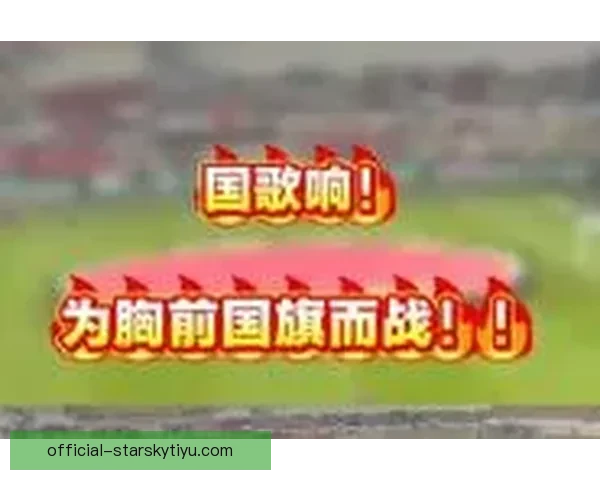 为胸前国旗而战全员准备就绪