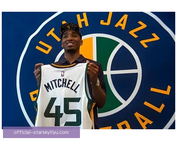 2017年选秀重排:全明星崛起末尾乐透区 2017年选秀重排:全明星崛起末尾乐透区