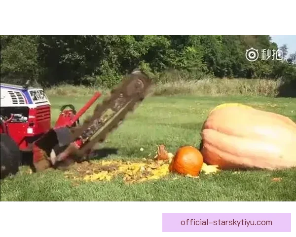 京鲁大战关键之战 谁能抢得保级先机