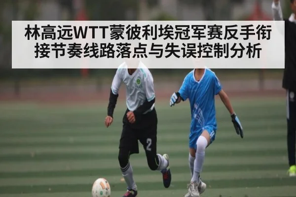 林高远WTT蒙彼利埃冠军赛反手衔接节奏线路落点与失误控制分析